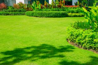 Demander ce jardinier