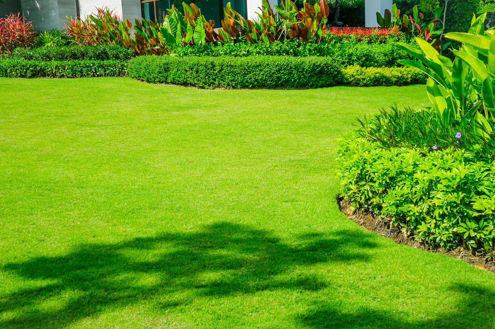 Service entretien espace vert 65 entre particuliers