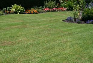 Service : entretien espace vert Service : entretien espace vert