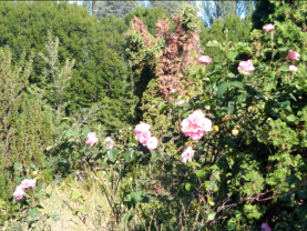 Location : salle reception Location : salle reception