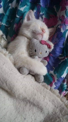 Service : chat Service : chat