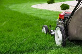 Demander ce jardinier