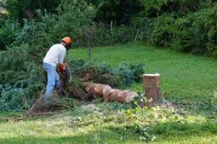 Service coupe de bois à domicile Jobbing entre particuliers/voisins