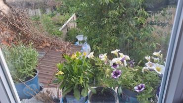 Service : aide menagere Service : aide menagere