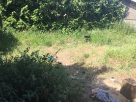 Service : tonte de pelouse Service : tonte de pelouse