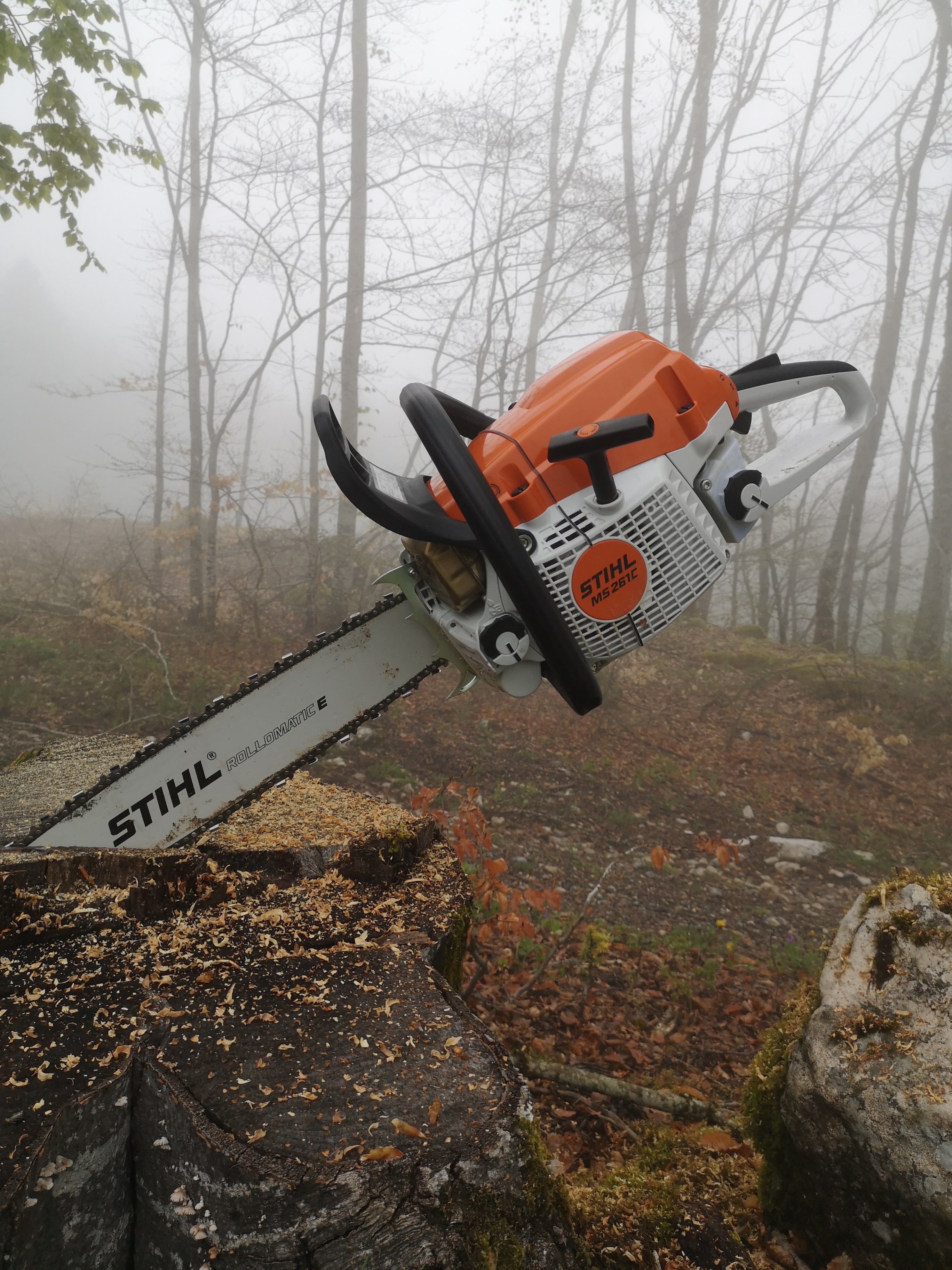 Location tronconneuse 38 entre particuliers