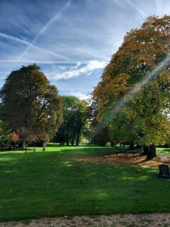 Louer le jardin