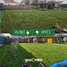 Service tonte de pelouse 88 entre particuliers