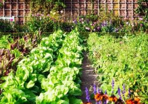 Demander ce jardinier