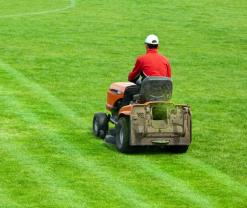 Service : debroussaillage Service : debroussaillage