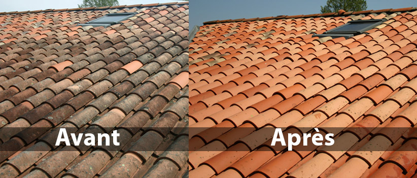 Service nettoyage toiture 79 entre particuliers