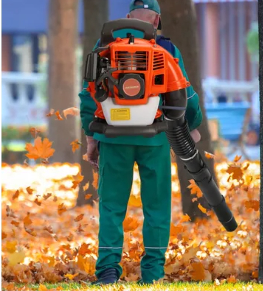 Location aspirateur souffleur 68 entre particuliers