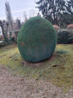 Service : entretien espace vert Service : entretien espace vert