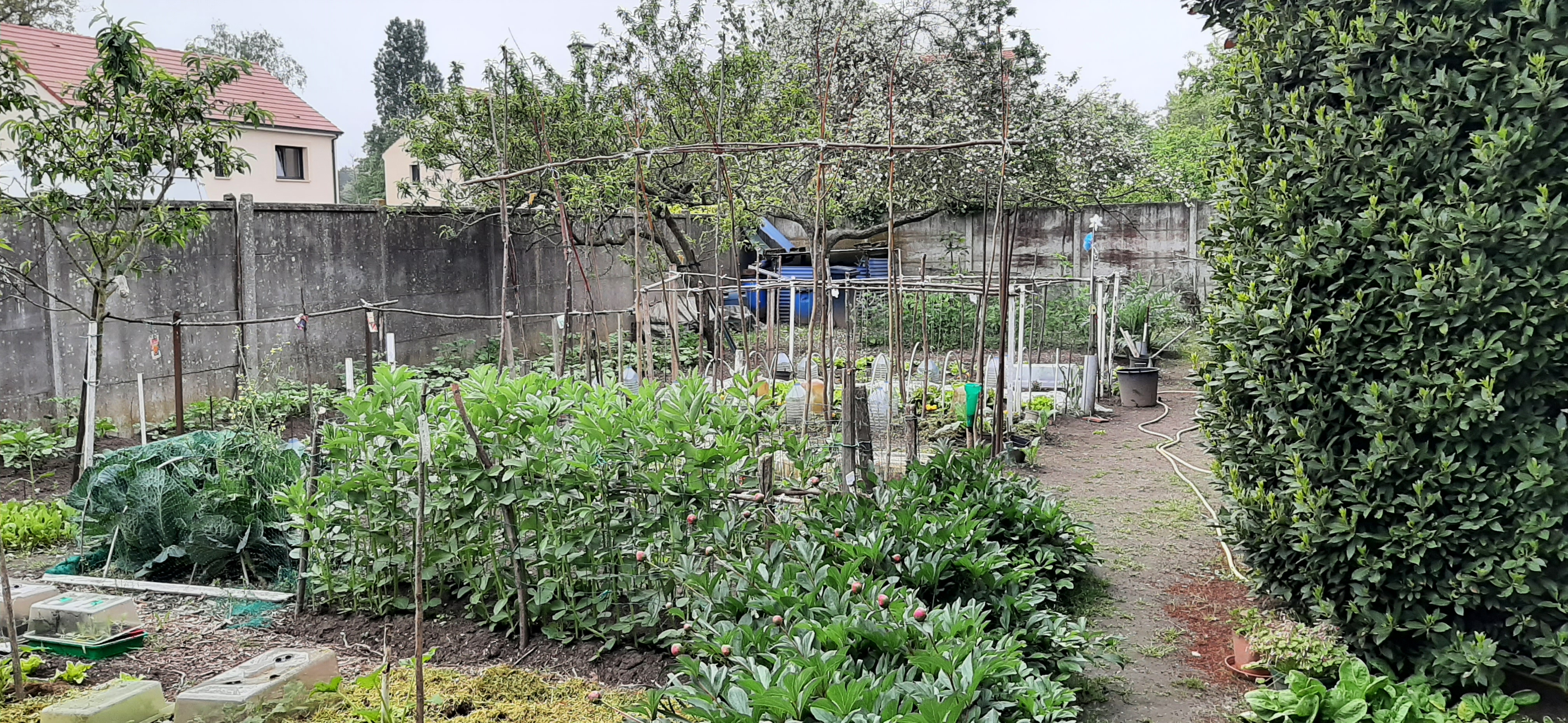 Location jardin potager 95 entre particuliers