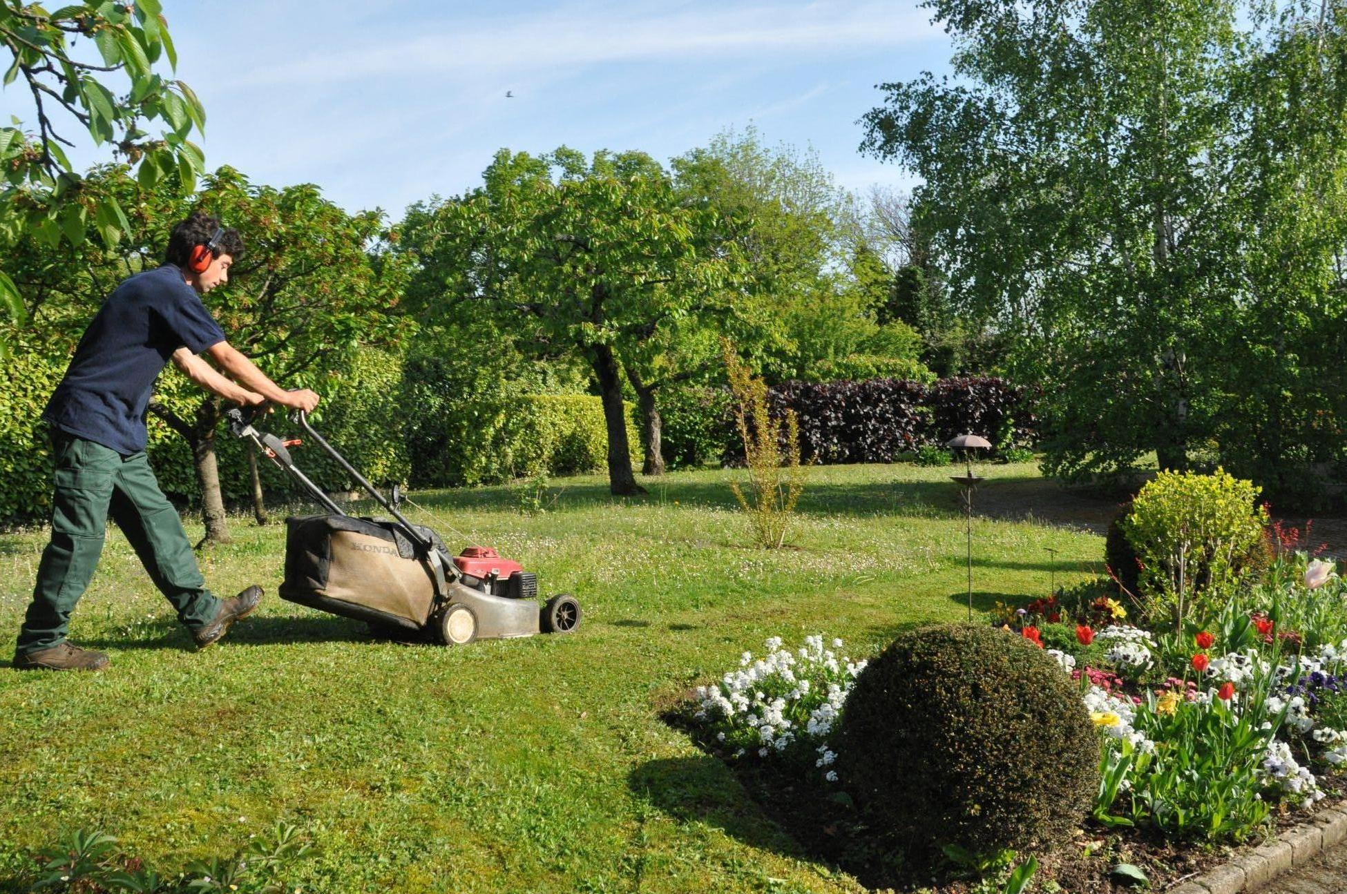 Service tonte de pelouse 60 entre particuliers