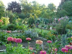 Location : desherbeur Location : desherbeur