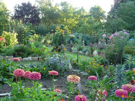 Location desherbeur 66 entre particuliers