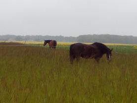 Location : autre Location : autre