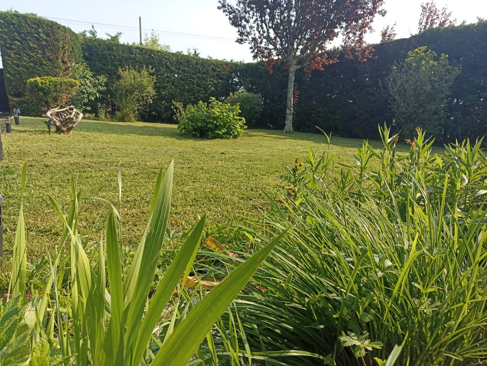 Location jardin 33 entre particuliers