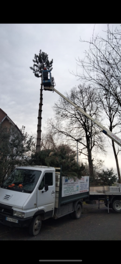 Service : entretien espace vert Service : entretien espace vert