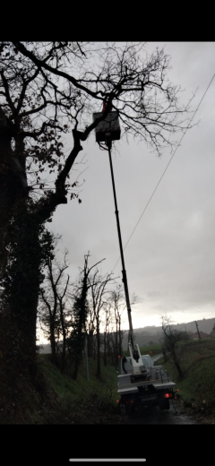 Service : entretien espace vert Service : entretien espace vert