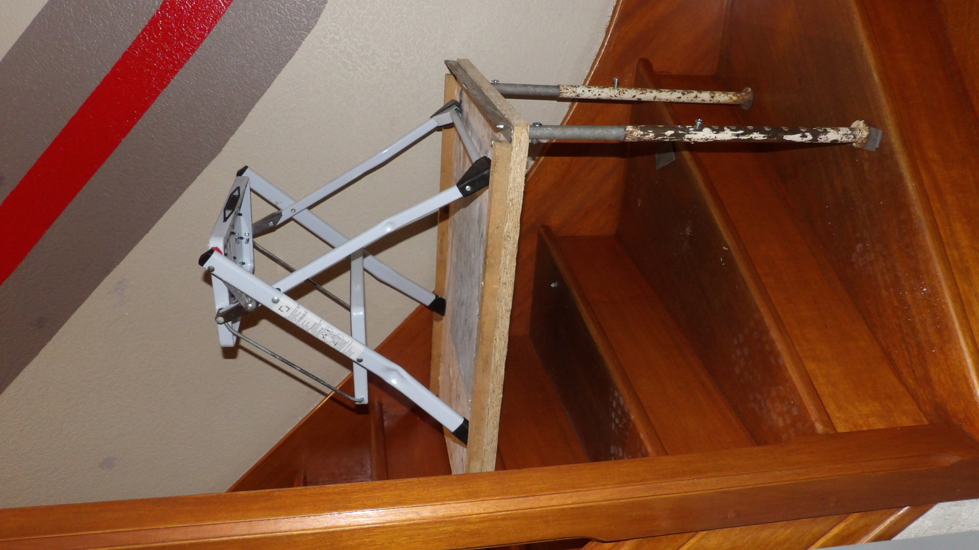 Location cage transport animaux 56 entre particuliers