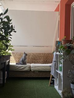 Service : chien Service : chien