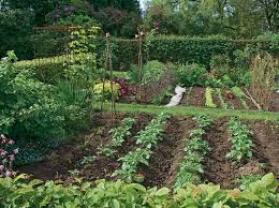 Location jardin potager entre particuliers