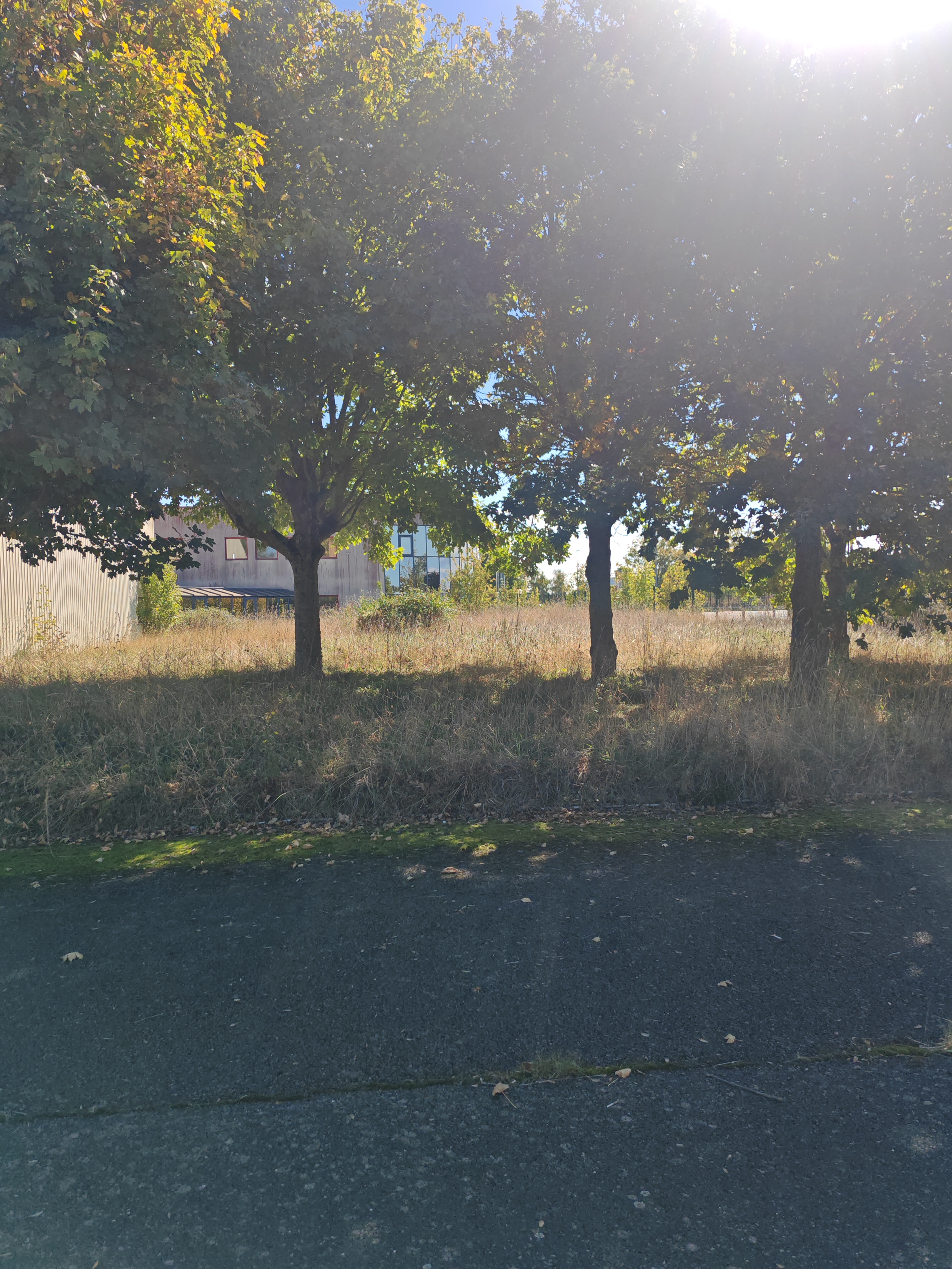 Service entretien espace vert 28 entre particuliers