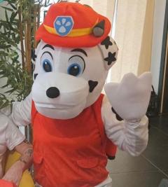 Location : combinaison Location : combinaison