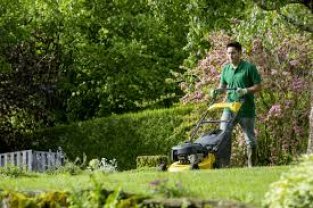 Service : tonte de pelouse