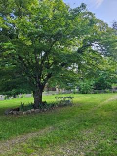 Louer le jardin