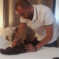 Service chien 34 entre particuliers