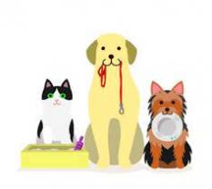 Service : garde animaux Service : garde animaux