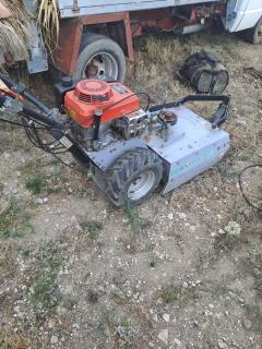 Location : tondeuse Location : tondeuse