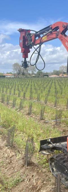 Location : minipelle Location : minipelle