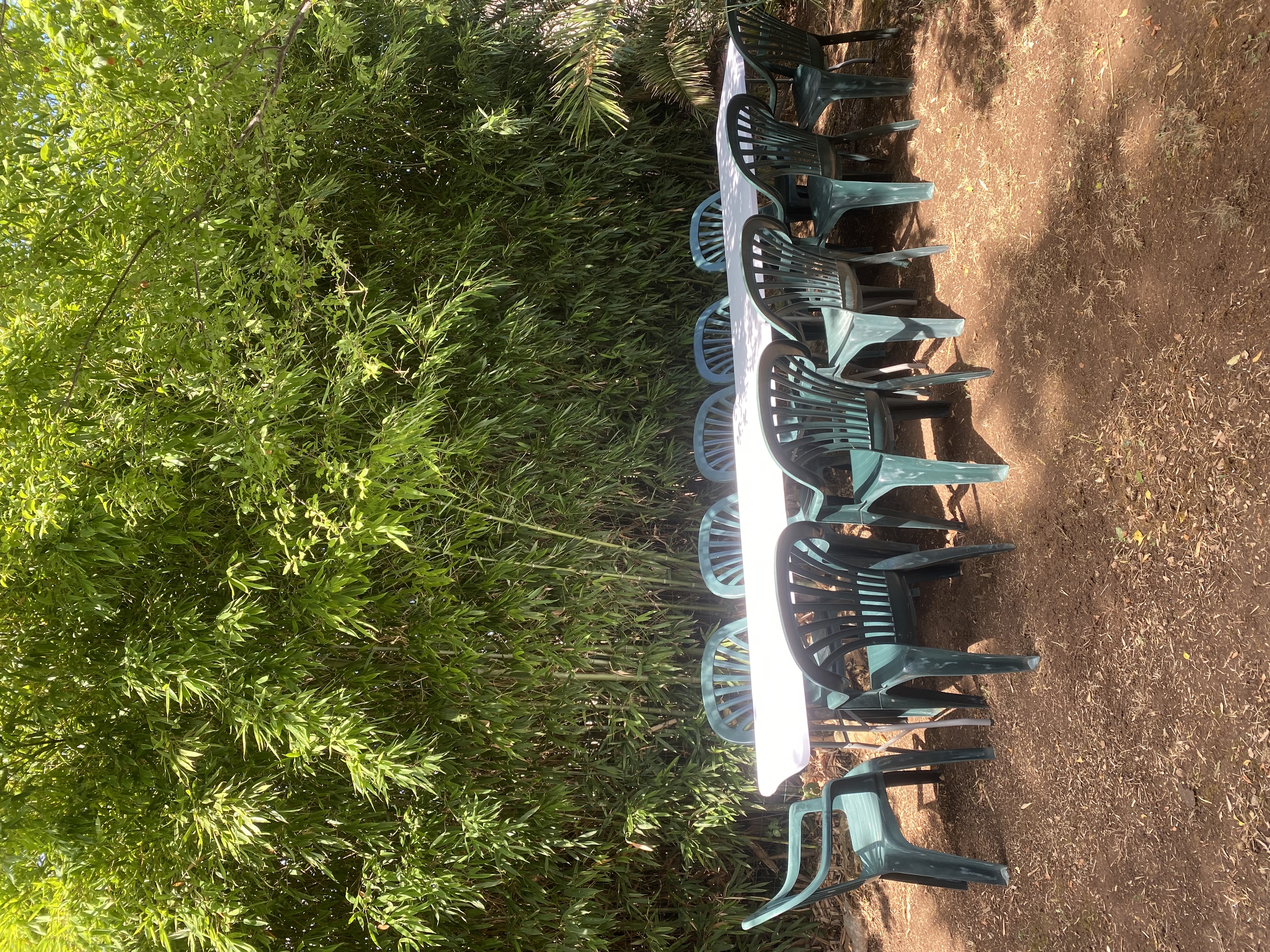 Rental Piscine between individuals (83)