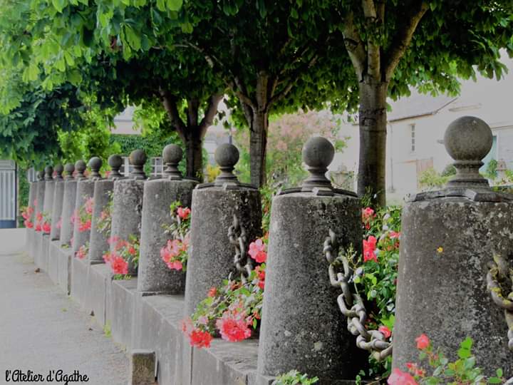 Service photographie 49 entre particuliers