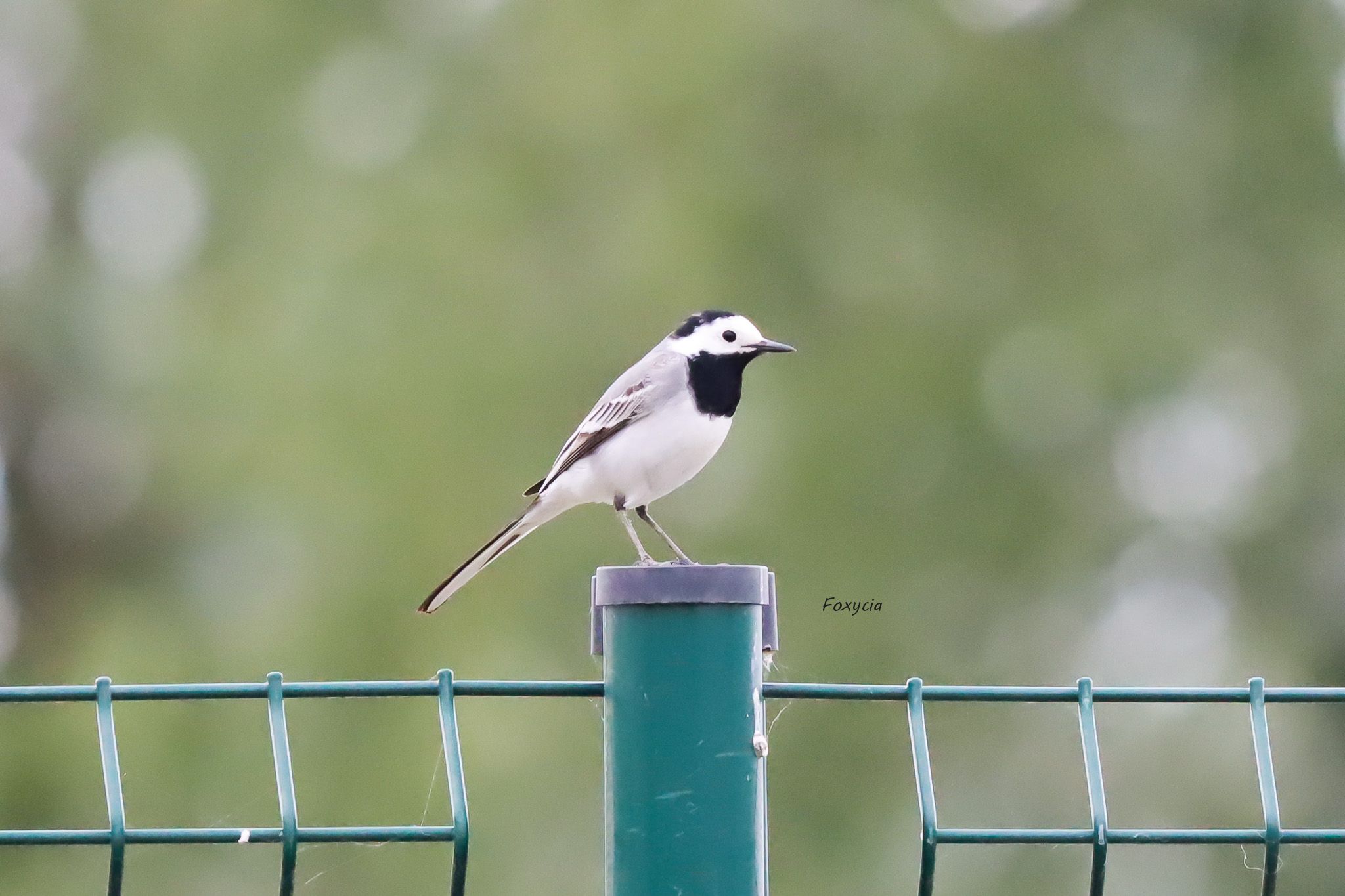 Service photographie 71 entre particuliers