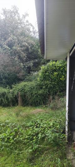 Service : debroussaillage Service : debroussaillage