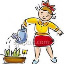 Service : arrosage Service : arrosage