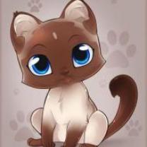 Service : chat Service : chat