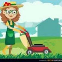 Service : entretien jardin Service : entretien jardin