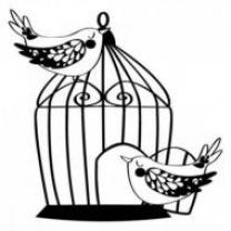 Service : oiseaux Service : oiseaux