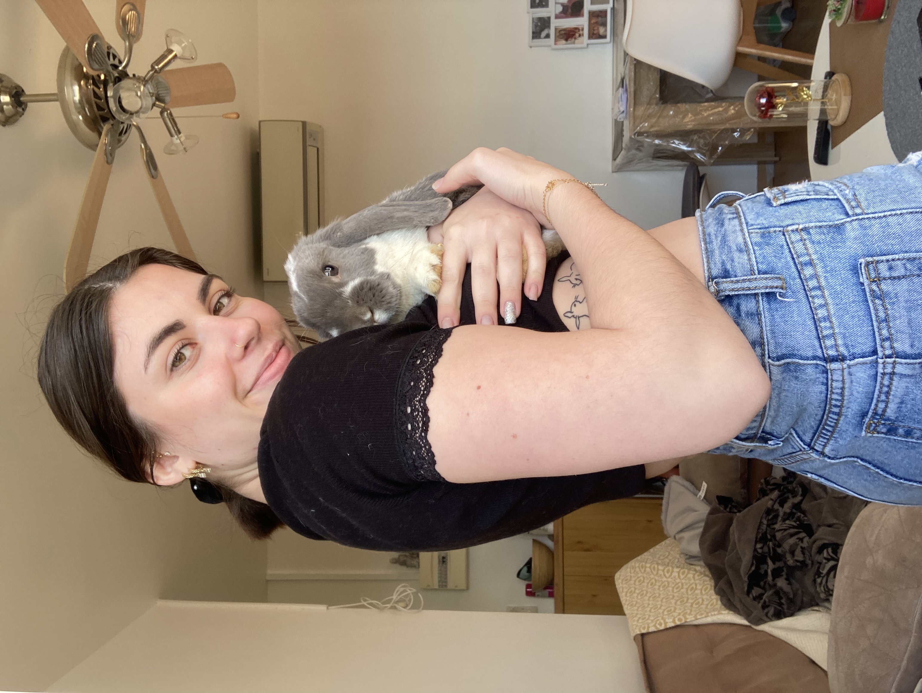 Service garde lapin 45 entre particuliers