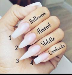 Service : prothesiste ongulaire Service : prothesiste ongulaire