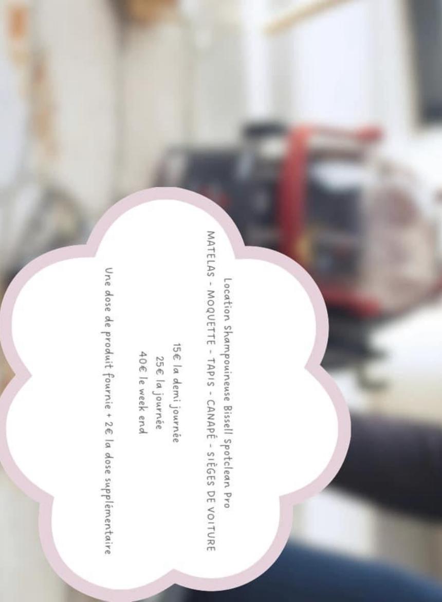 Location shampouineuse 64 entre particuliers