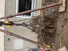 Location : rogneuse de souche Location : rogneuse de souche