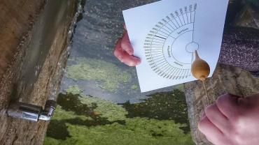 Service : amenagement jardin Service : amenagement jardin