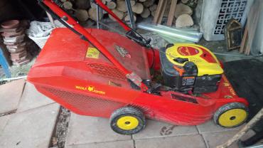 Location : tondeuse Location : tondeuse